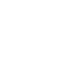 Active Image