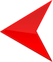 back-icon